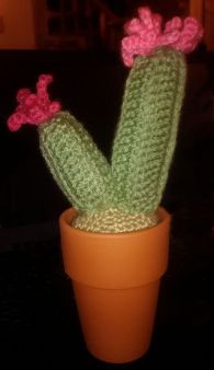 cactus-class